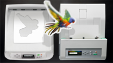 Kyocera 'Animals'